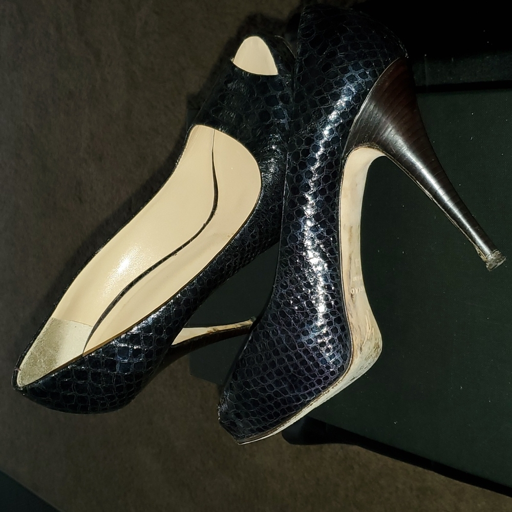 Giuseppe Zanotti Python Pumps - image 5